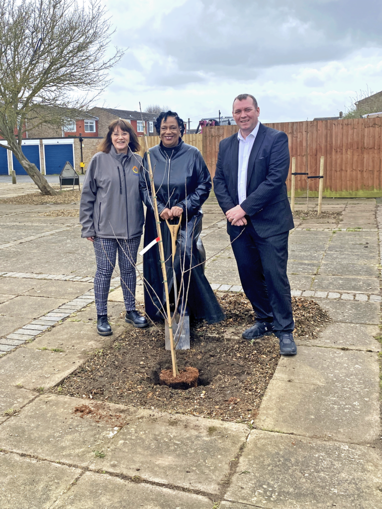 New Rentplus cherry trees enhance Wellingborough Greatwell Homes space Rent to Buy Scheme